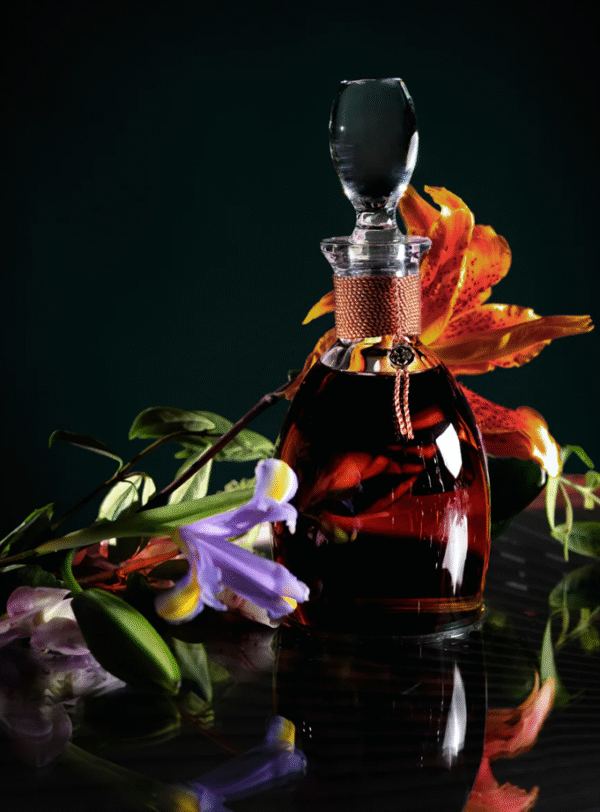 CAMUS Ile de Cognac