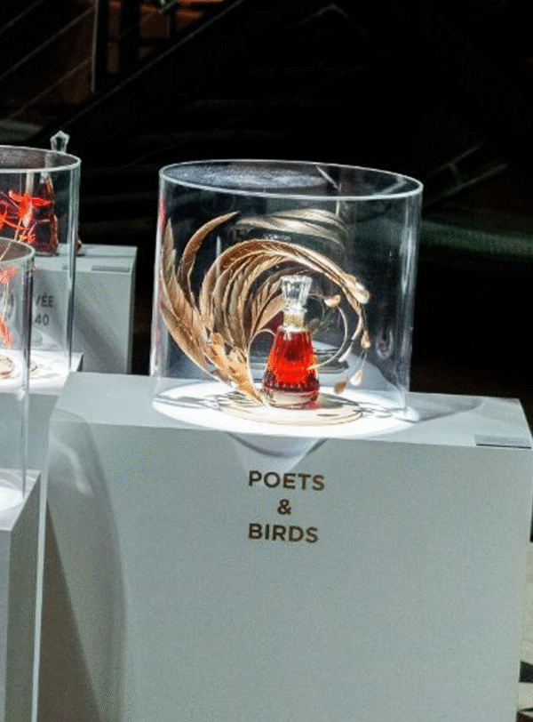 CAMUS Poets and Birds - Image 2