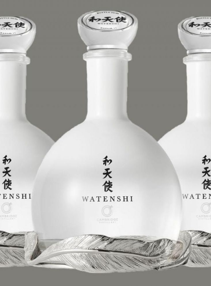 Watenshi Gin - Image 5
